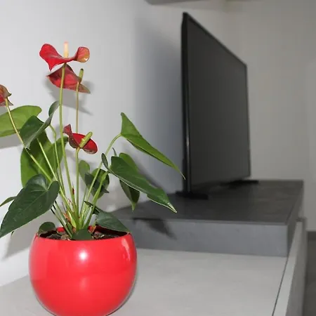 Kalloreat Apartamento Bari